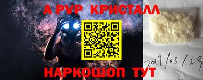 ECSTASY Заводоуковск
